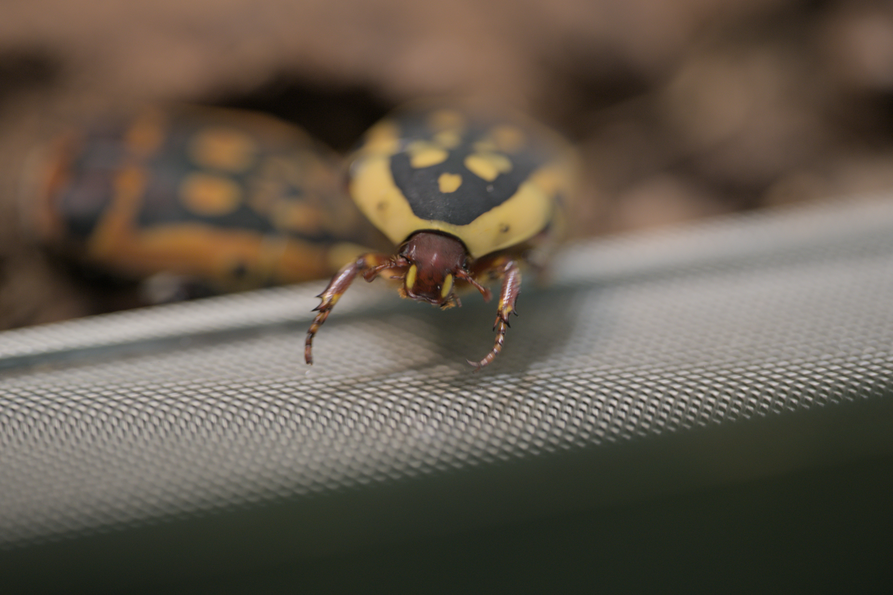 2025/10/12 - zoo/DSC_0223.jpg